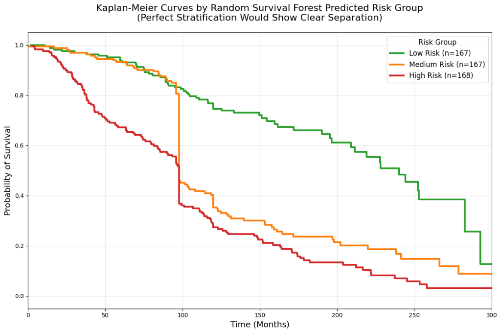 Kaplan-Meier Survival Curves